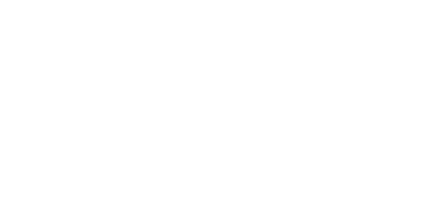 888 Customs logo